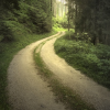 Achieving Goals ProcessofGoals-FranFisherCoach